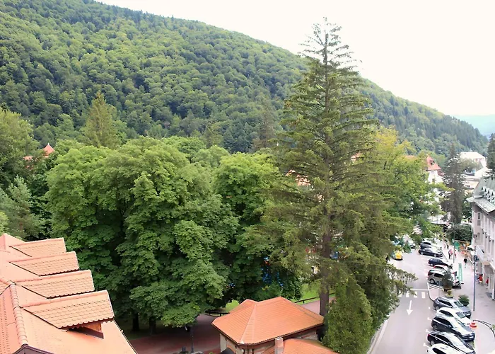 Central Park View Sinaia