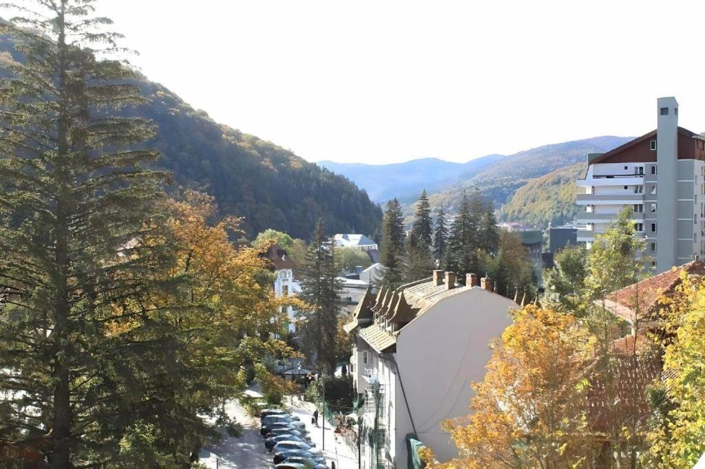 Park View Apartment