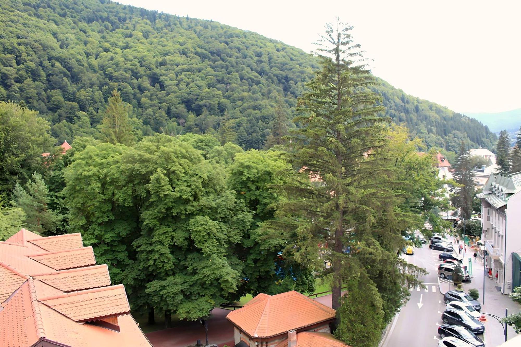 Park View *