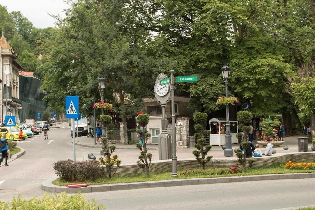 Park View * Sinaia