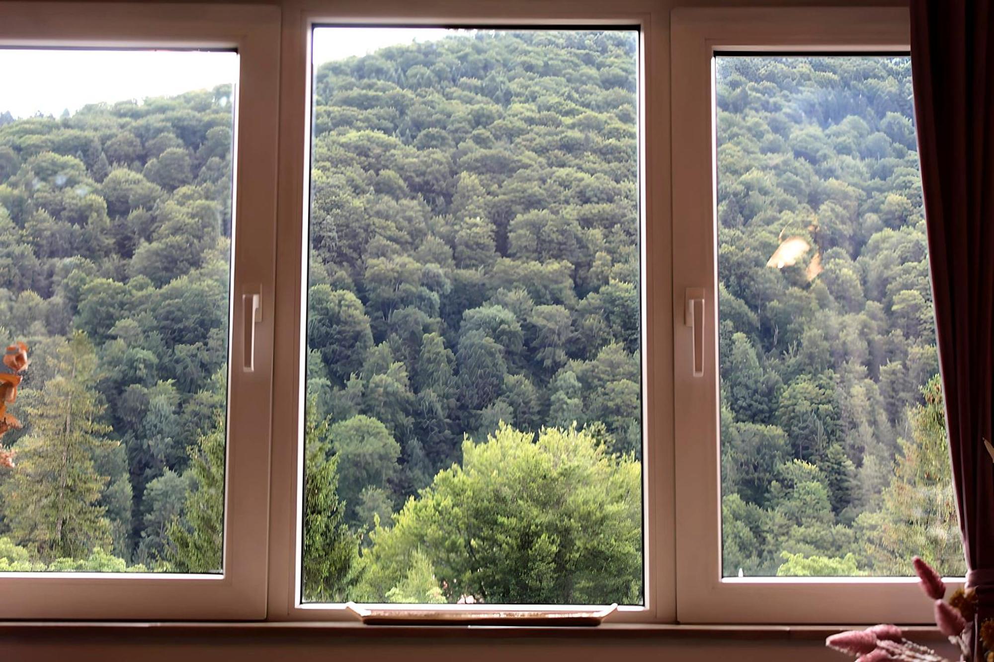 Park View Apartment